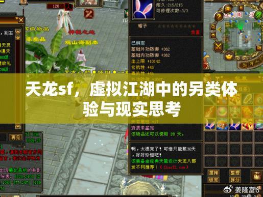 天龙私服修仙之旅：从初入江湖到打造梦想装备，收获友谊与成长