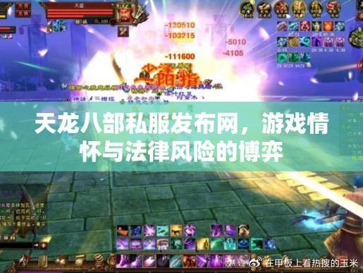 天龙八部私服发布网丨安全下载、攻略指南，一网打尽 第1张