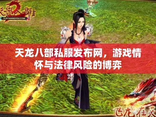 天龙八部私服发布网丨安全下载、攻略指南，一网打尽 第2张