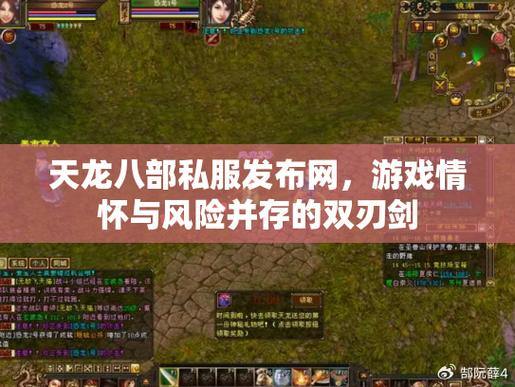 天龙八部私服发布网：丰富版本、补丁，个性化游戏体验 第4张