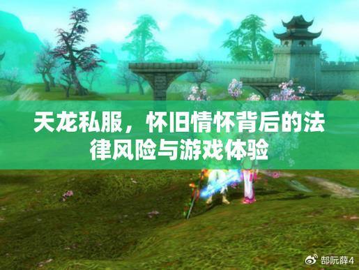 天龙私服之旅：重温江湖情谊、体验精彩剧情 第4张