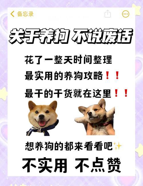 想在奇迹私服少走弯路？这些实用干货你得知道