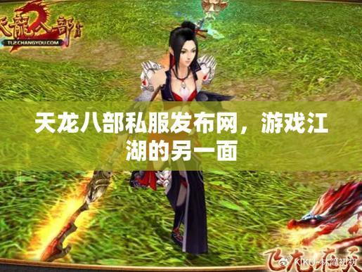 天龙八部私服发布网：助玩家寻靠谱服，享新体验与玩法