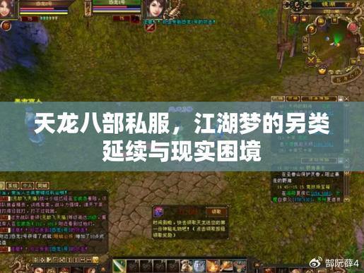 天龙八部公益私服评测：高倍率、多福利，公平环境 第4张