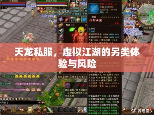 天龙八部私服揭秘：独特体验、门道与风险分析