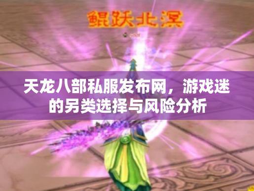 深入了解天龙sf玩法及特色，警惕获取途径中的风险