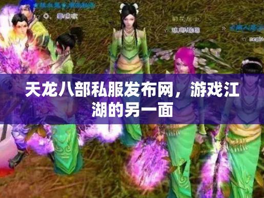 天龙八部sf解析：私服亮点与升级优势，让游戏更畅快