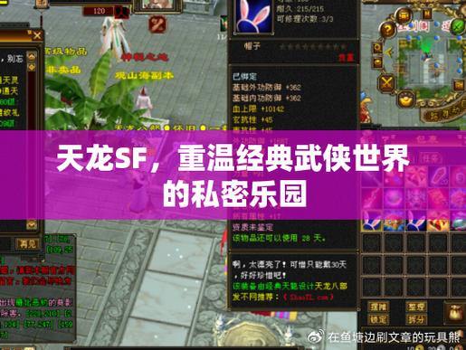 天龙私服冒险指南：分享技巧、选择角色，探索广阔世界